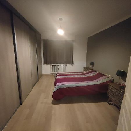 Tres Grand Appartement De 76M2 A Strasbourg Kültér fotó