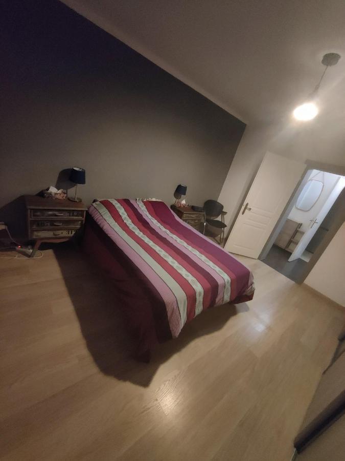 Tres Grand Appartement De 76M2 A Strasbourg Kültér fotó