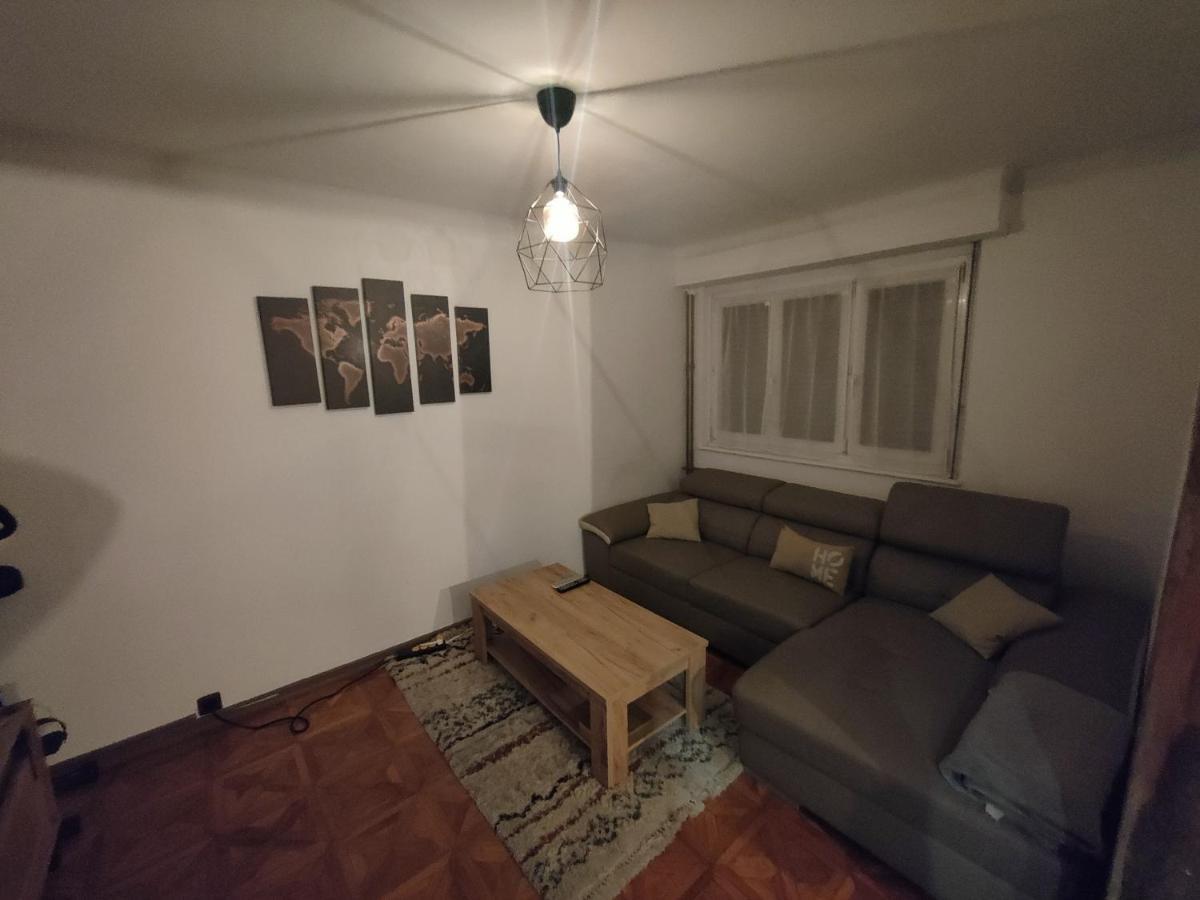 Tres Grand Appartement De 76M2 A Strasbourg Kültér fotó